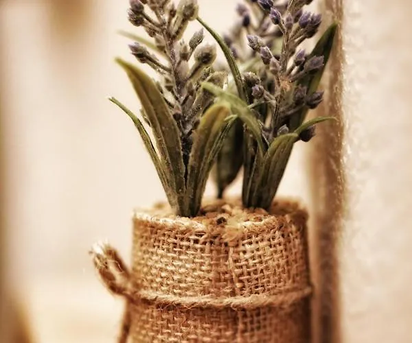 Old Town House Pag Town