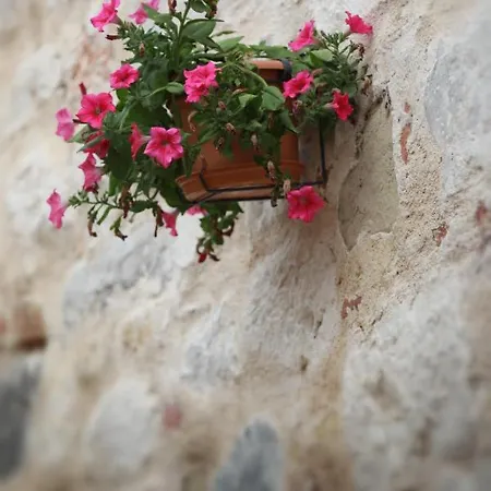 Old Town House Villa