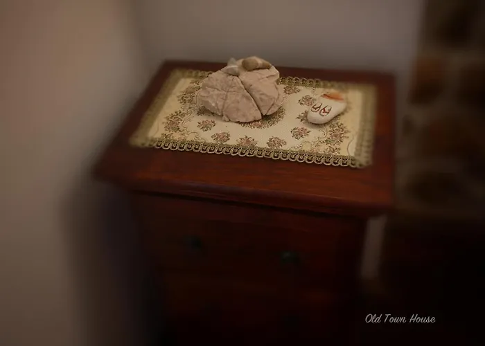 Old Town House Villa *